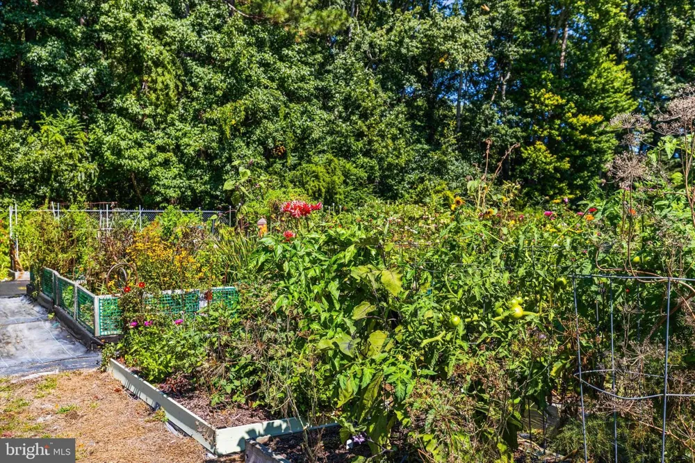 22 CAPETOWN ROAD Ocean Pines, MD 21811