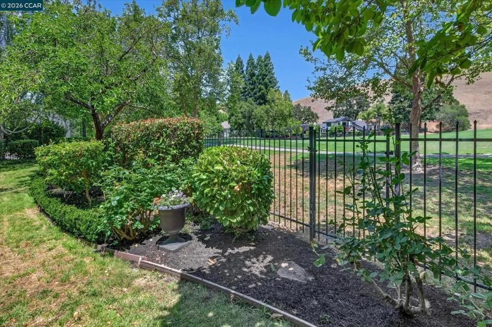 549 Buttonwood Dr Danville, CA 94506