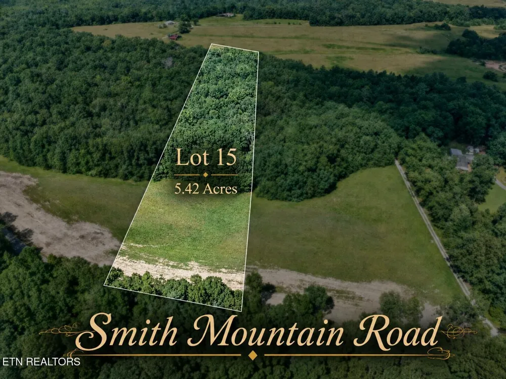 15 Smith Mountain Rd Rockwood, TN 37854