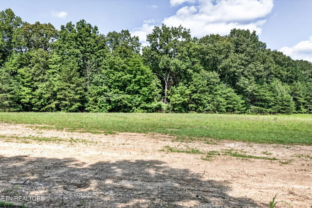 15 Smith Mountain Rd Rockwood, TN 37854