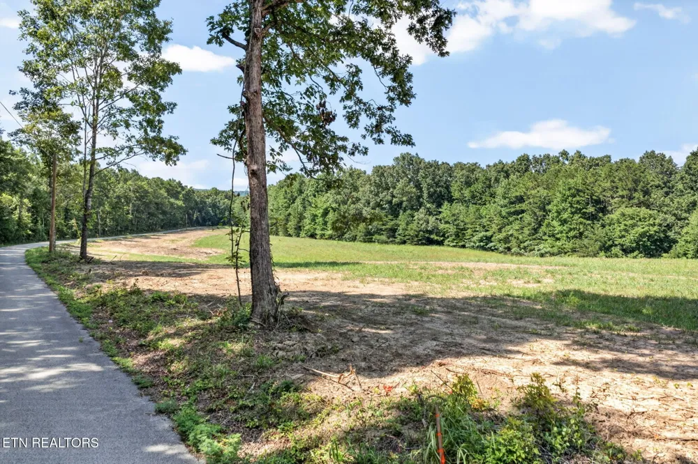 15 Smith Mountain Rd Rockwood, TN 37854