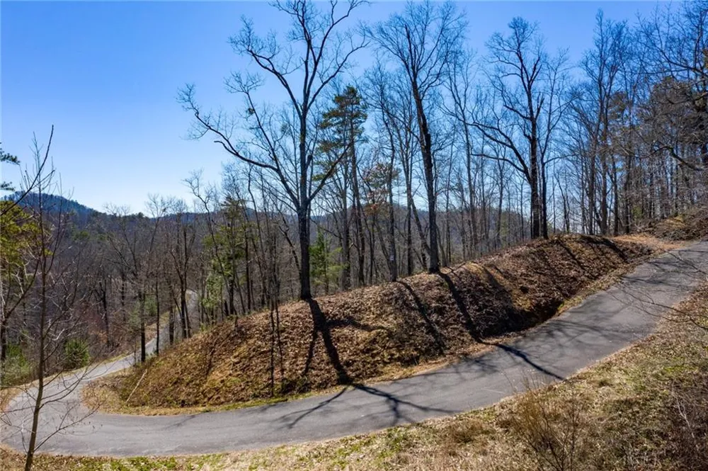 278 Carters Overlook Drive Ranger, GA 30734