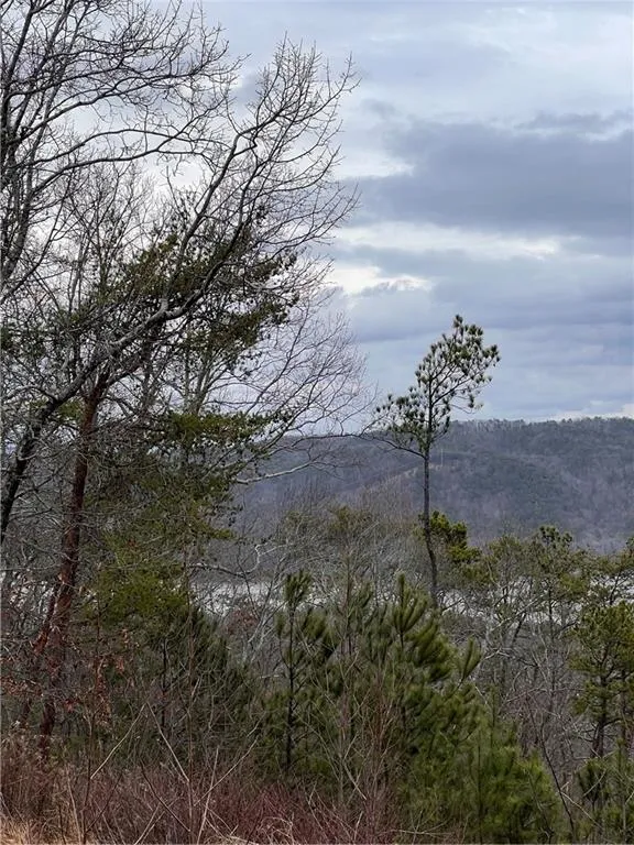 278 Carters Overlook Drive Ranger, GA 30734