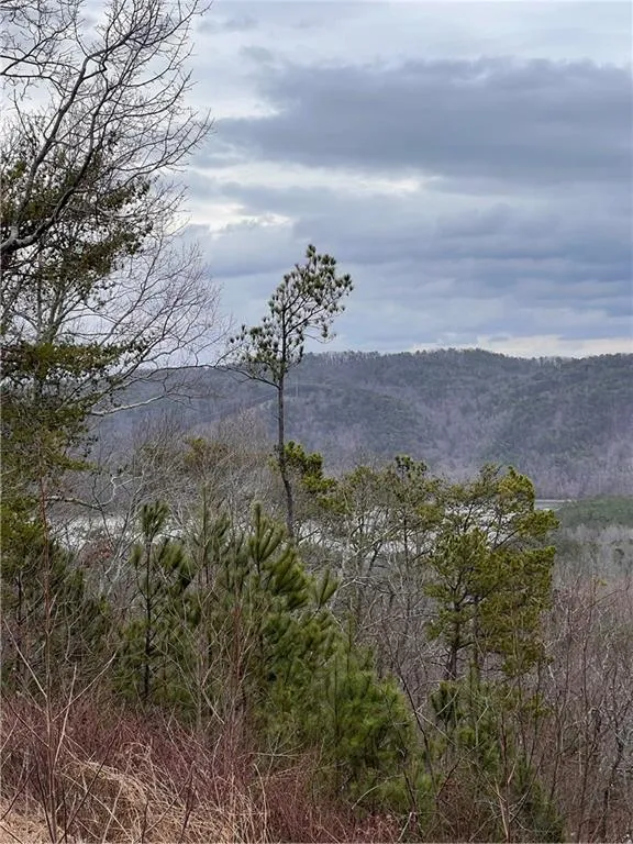 278 Carters Overlook Drive Ranger, GA 30734