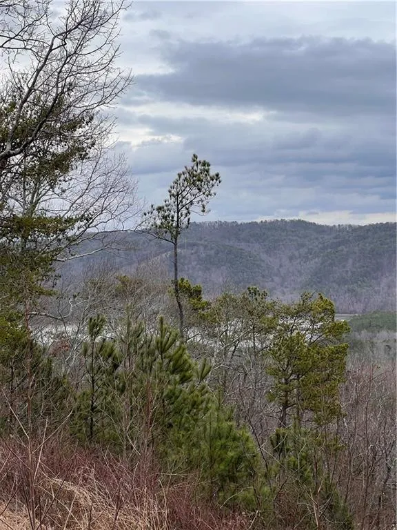 278 Carters Overlook Drive Ranger, GA 30734