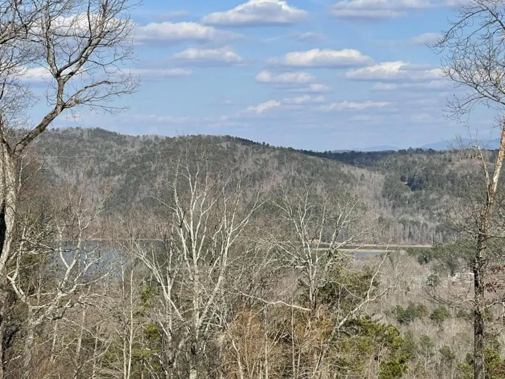 278 Carters Overlook Drive Ranger, GA 30734