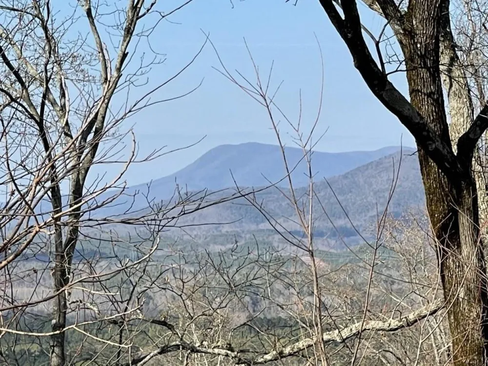 278 Carters Overlook Drive Ranger, GA 30734