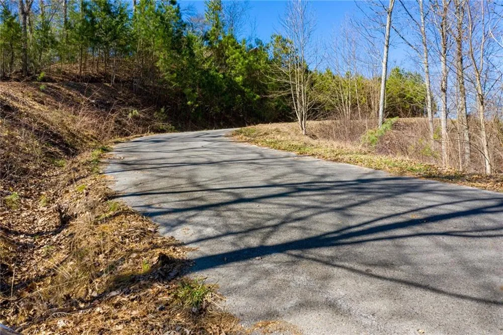 278 Carters Overlook Drive Ranger, GA 30734