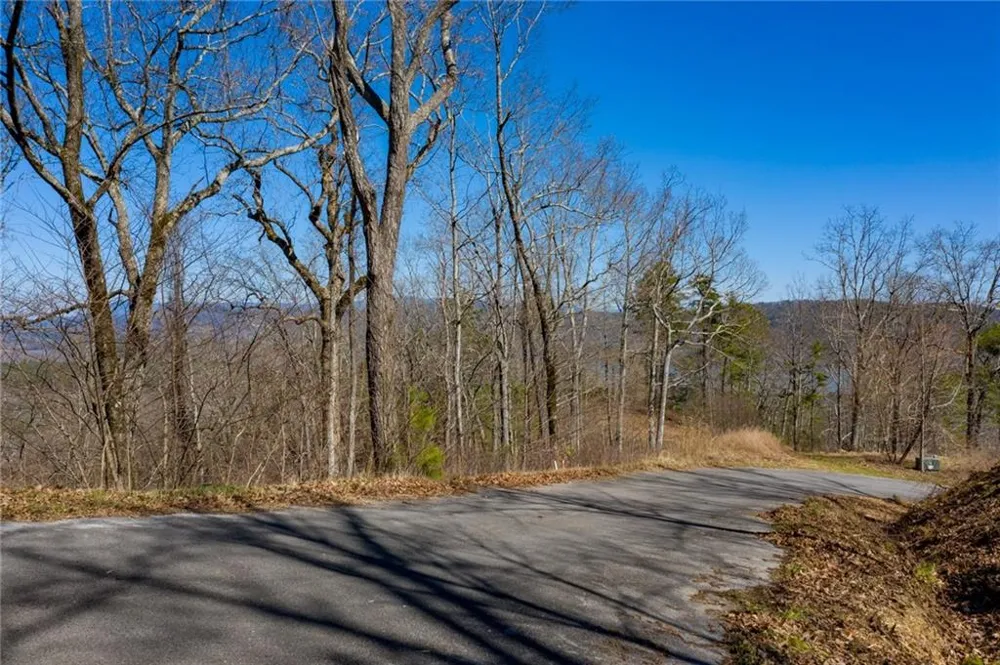 278 Carters Overlook Drive Ranger, GA 30734