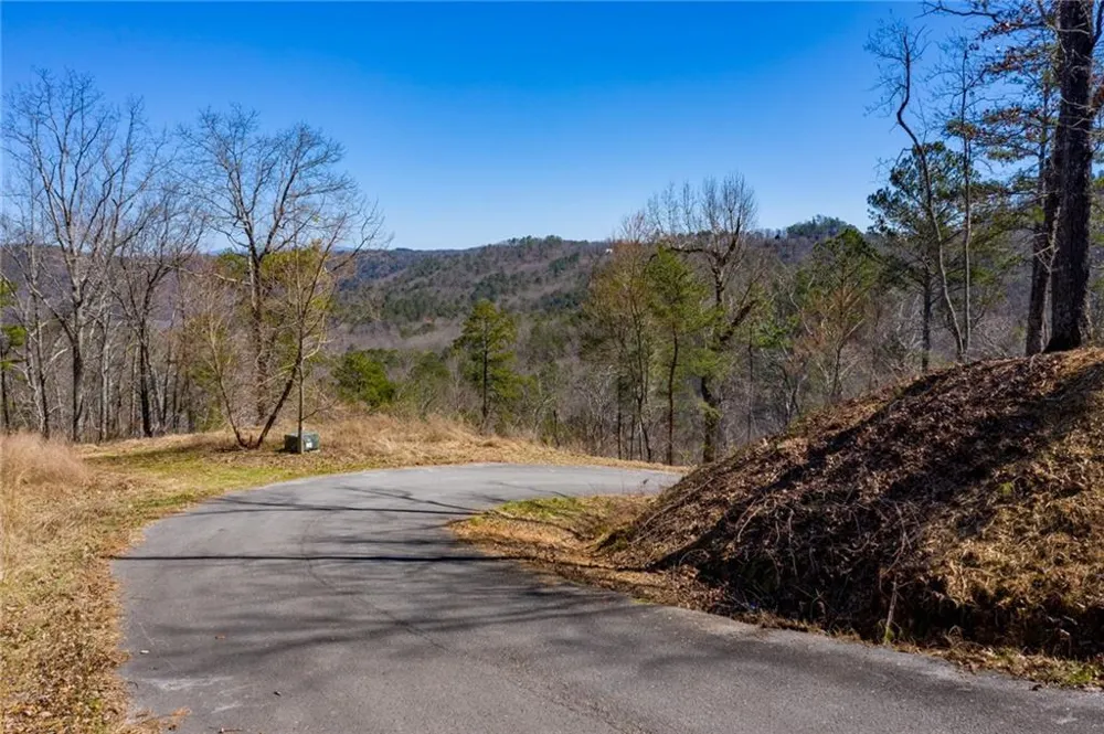 278 Carters Overlook Drive Ranger, GA 30734