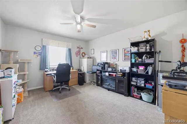 10138 Silver Stirrup Drive Colorado Springs, CO 80925