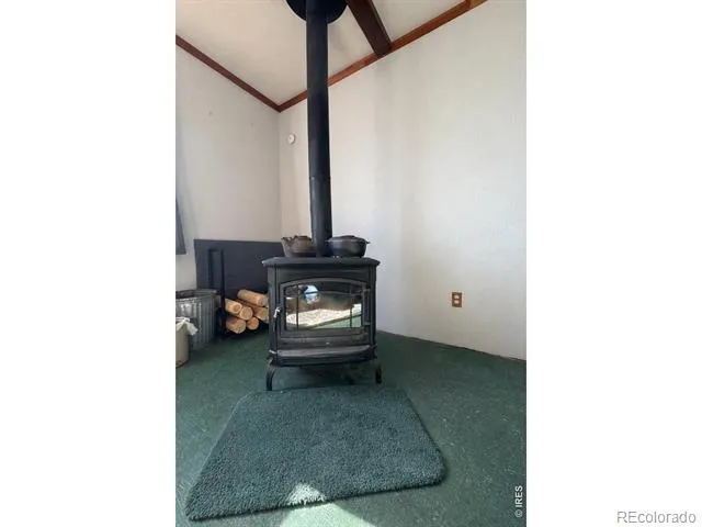 170 Logan Street Walden, CO 80480