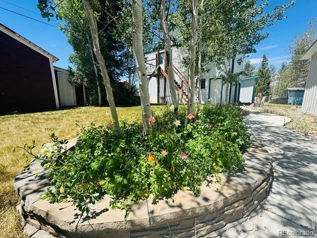 170 Logan Street Walden, CO 80480