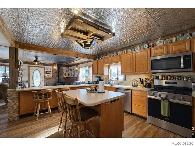 170 Logan Street Walden, CO 80480