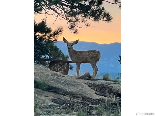 2720 Sunset Lane Estes Park, CO 80517