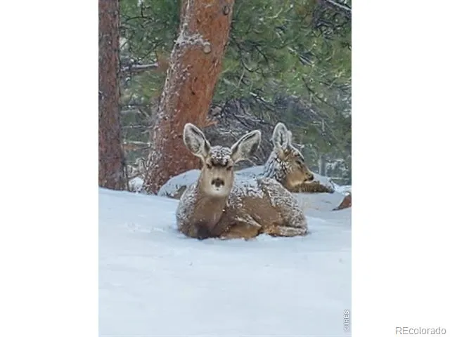 2720 Sunset Lane Estes Park, CO 80517