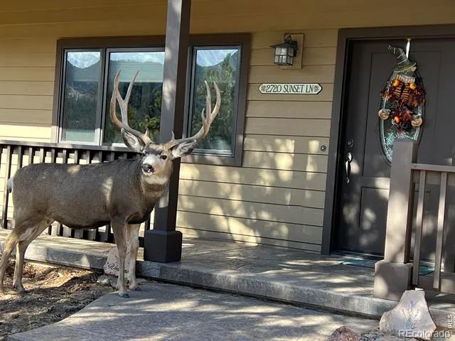 2720 Sunset Lane Estes Park, CO 80517