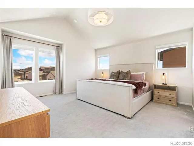 5313 Ribault Street Timnath, CO 80547