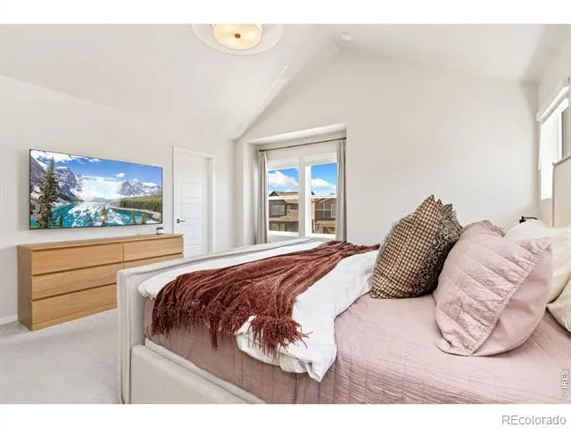 5313 Ribault Street Timnath, CO 80547