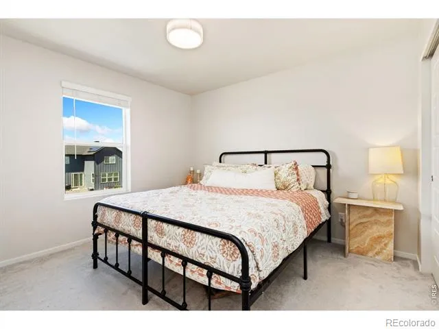 5313 Ribault Street Timnath, CO 80547
