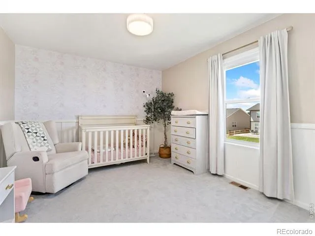 5313 Ribault Street Timnath, CO 80547