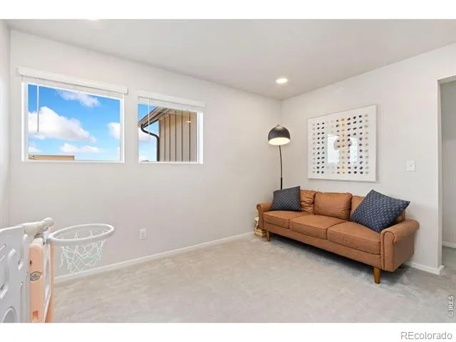5313 Ribault Street Timnath, CO 80547