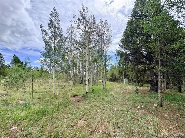 720 Bluestem Way Fairplay, CO 80440
