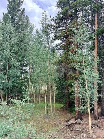 720 Bluestem Way Fairplay, CO 80440