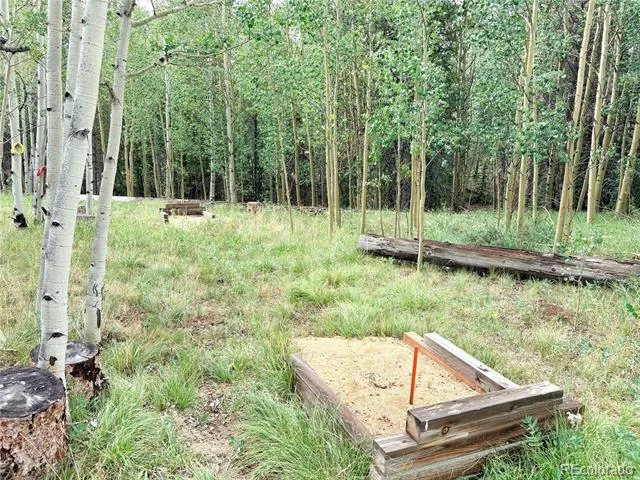 720 Bluestem Way Fairplay, CO 80440