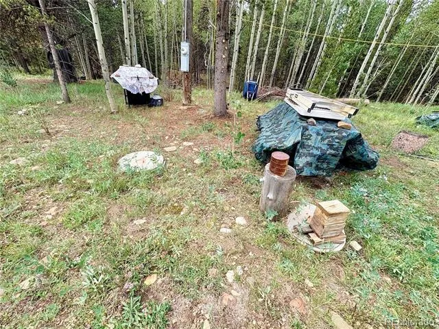 720 Bluestem Way Fairplay, CO 80440