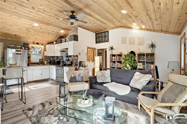 226 Hall Road Bailey, CO 80421