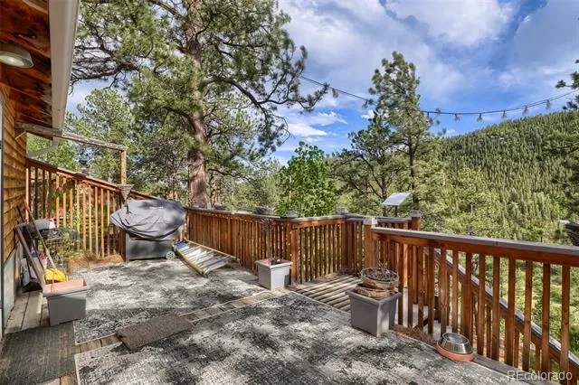 226 Hall Road Bailey, CO 80421