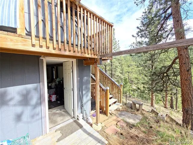 226 Hall Road Bailey, CO 80421