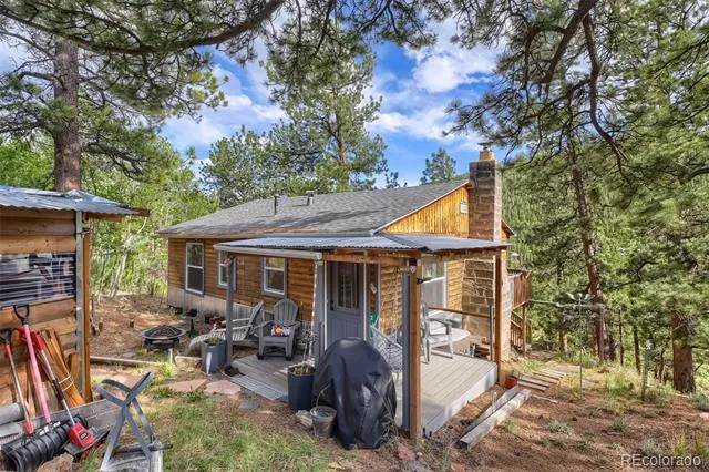 226 Hall Road Bailey, CO 80421