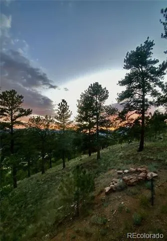 226 Hall Road Bailey, CO 80421