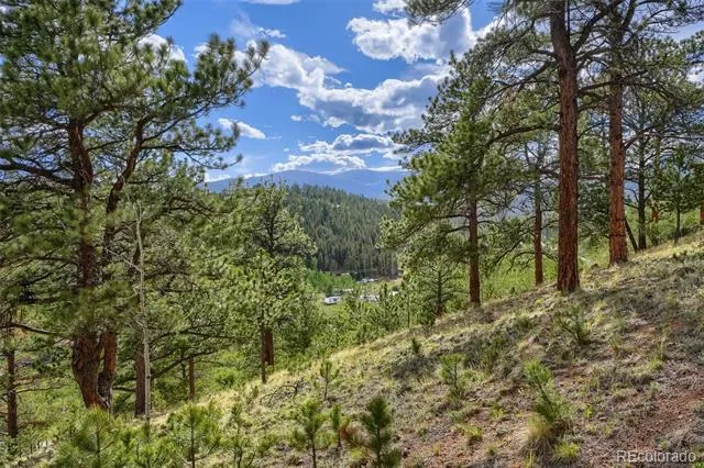226 Hall Road Bailey, CO 80421