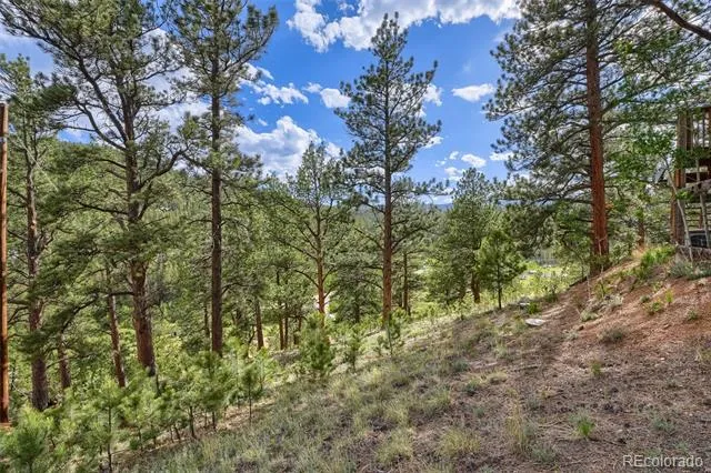 226 Hall Road Bailey, CO 80421