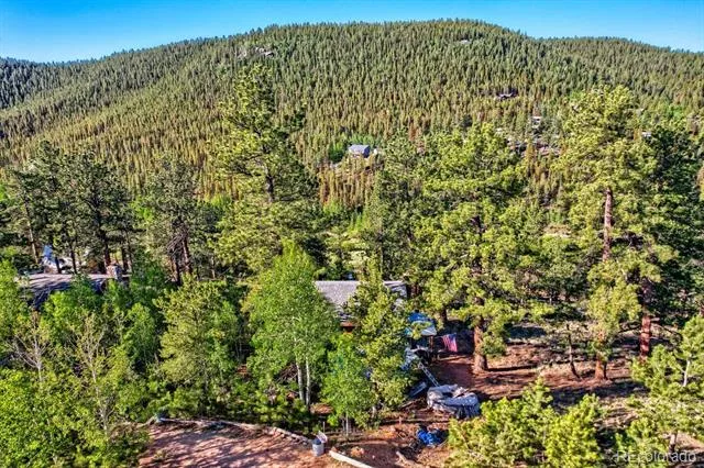 226 Hall Road Bailey, CO 80421