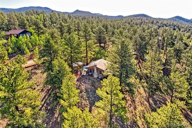 226 Hall Road Bailey, CO 80421