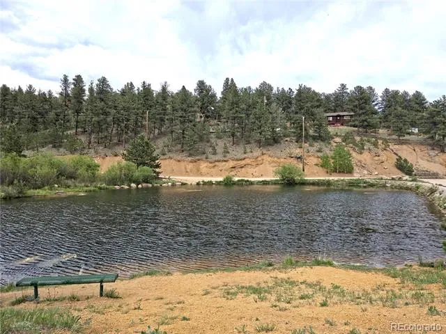 226 Hall Road Bailey, CO 80421