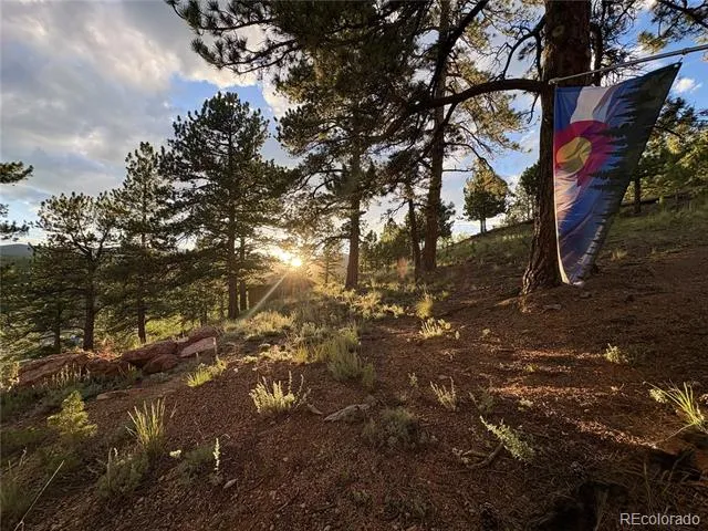 226 Hall Road Bailey, CO 80421
