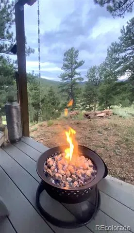226 Hall Road Bailey, CO 80421