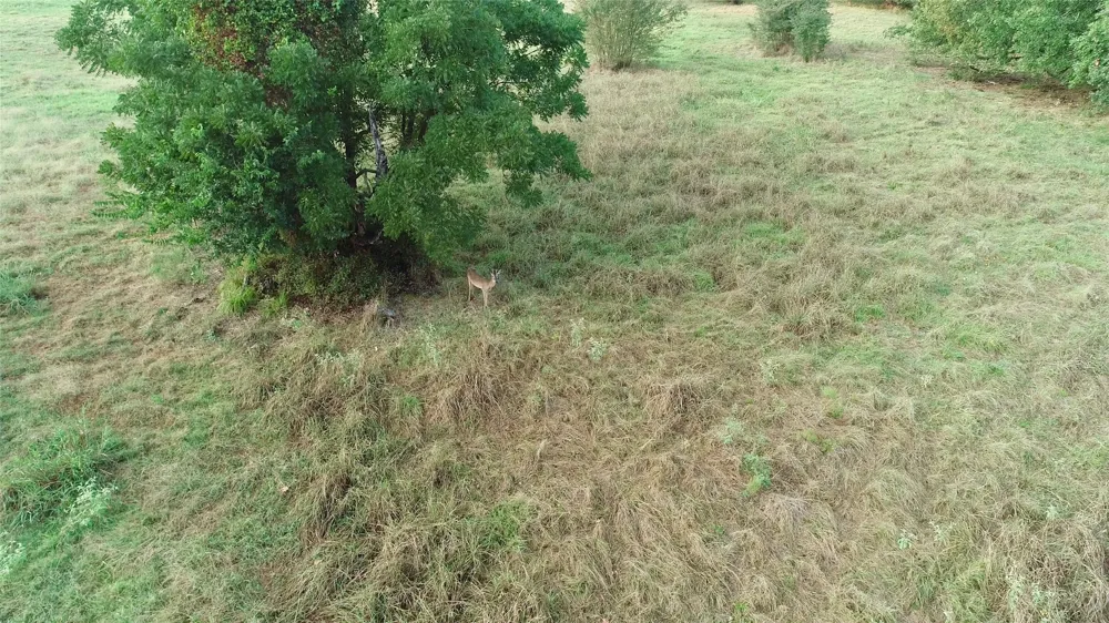 9097 County Road 2472 Royse City, TX 75189