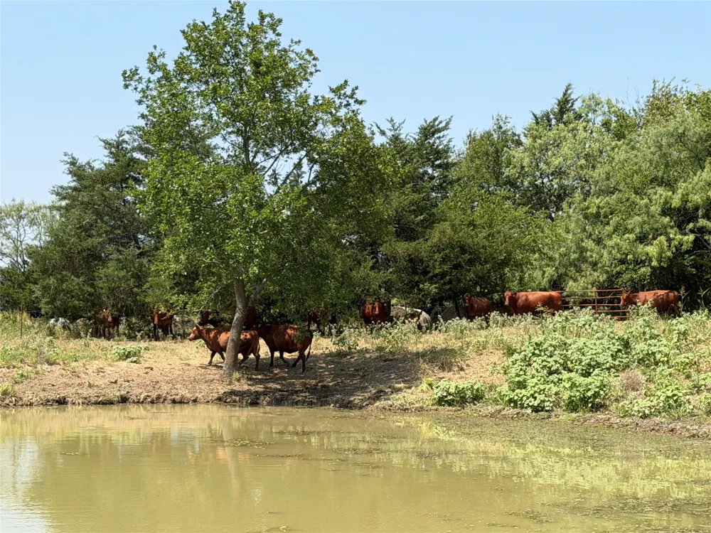 9097 County Road 2472 Royse City, TX 75189