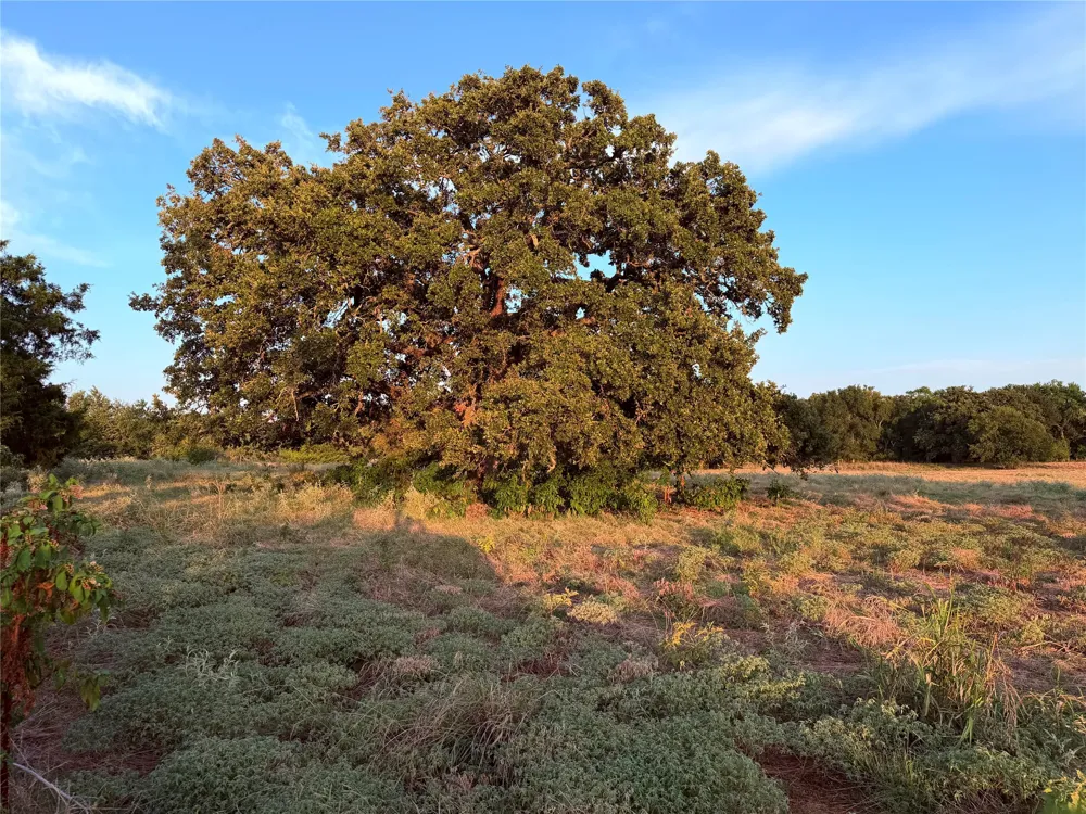 9097 County Road 2472 Royse City, TX 75189