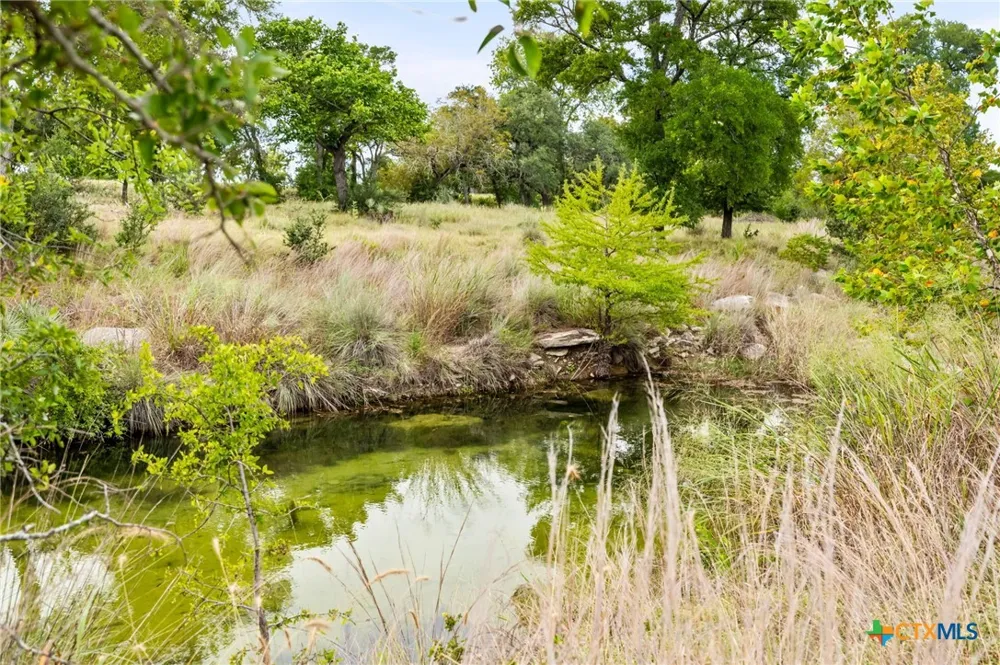 401 Clear Creek Ln Fredericksburg, TX 78624