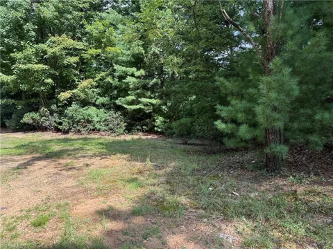 Lot 119 Rich Pine Drive