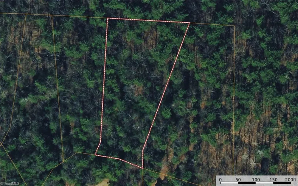 Lot 119 Rich Pine Drive Purlear, NC 28665
