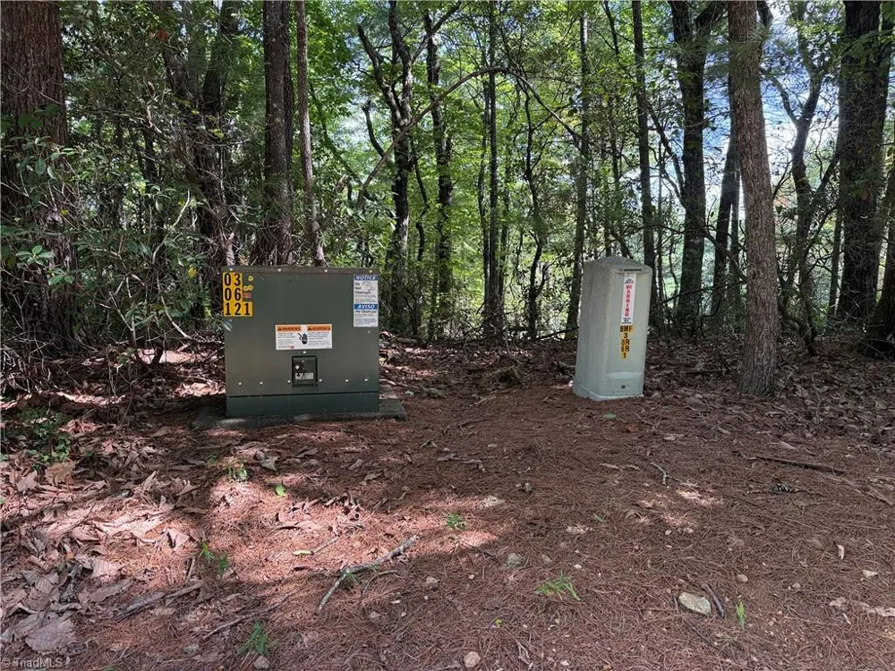 Lot 119 Rich Pine Drive Purlear, NC 28665