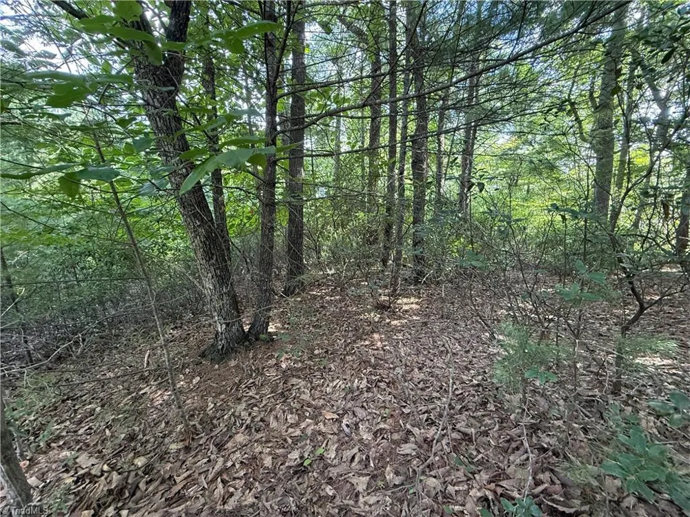 Lot 119 Rich Pine Drive Purlear, NC 28665